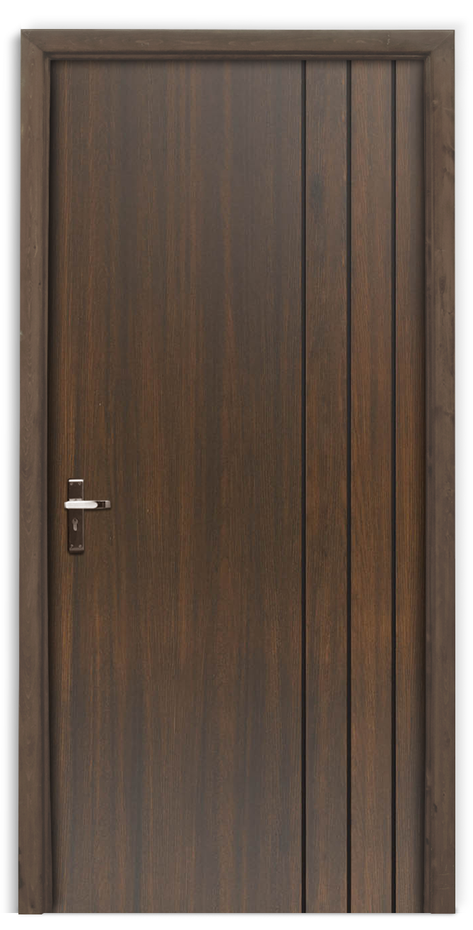 Designs of doors for homes