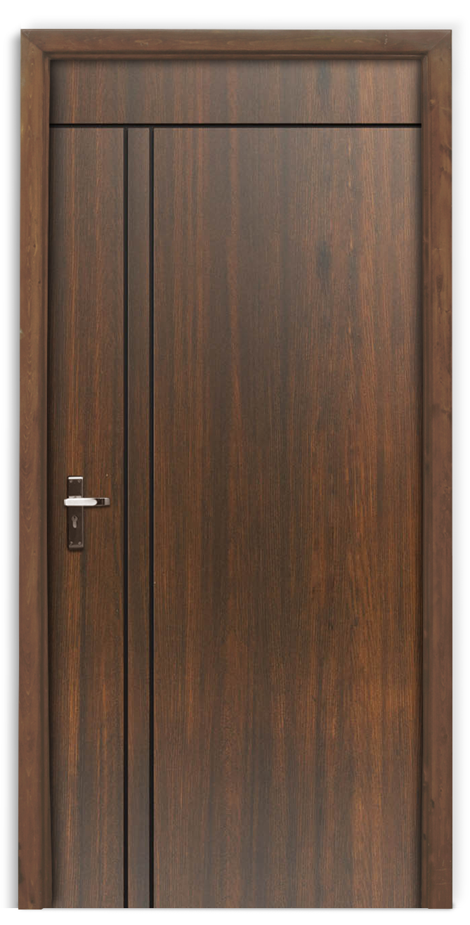 Designs of doors for homes