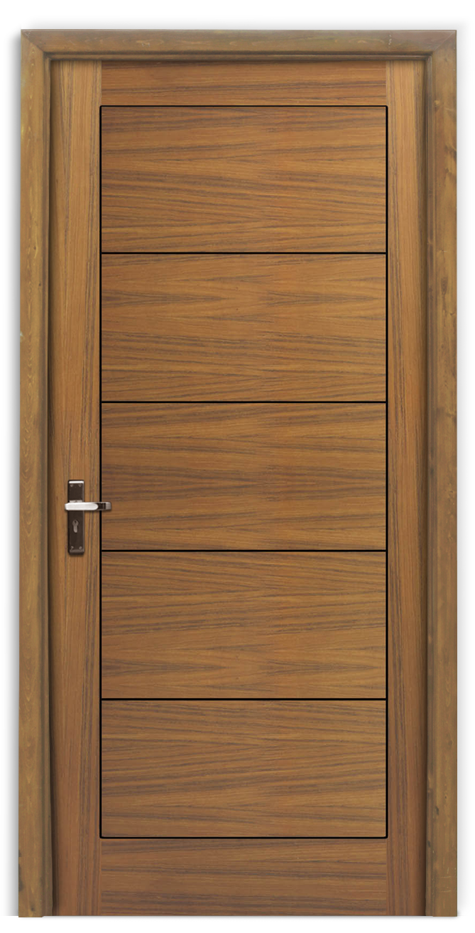 Designs of doors for homes