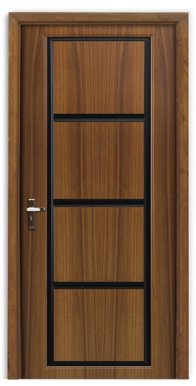 Designs of doors for homes