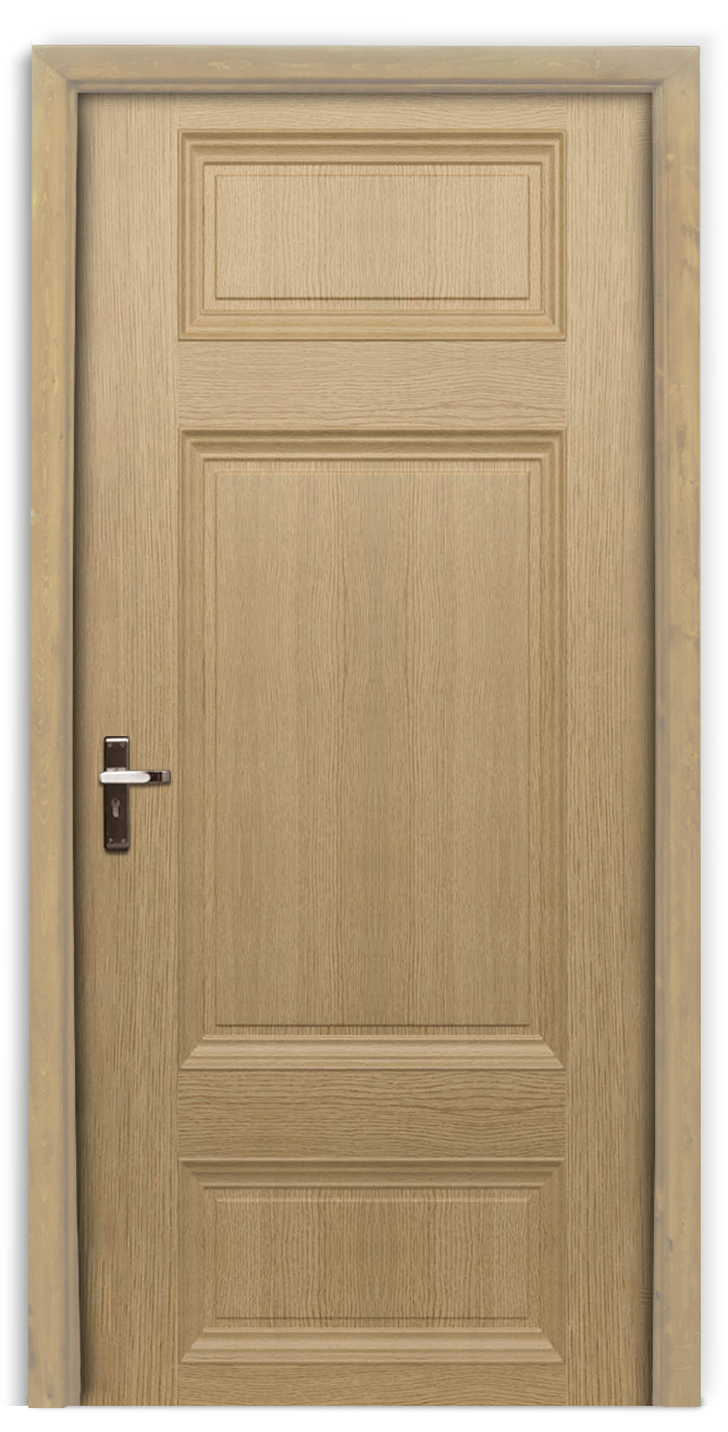 Designs of doors for homes