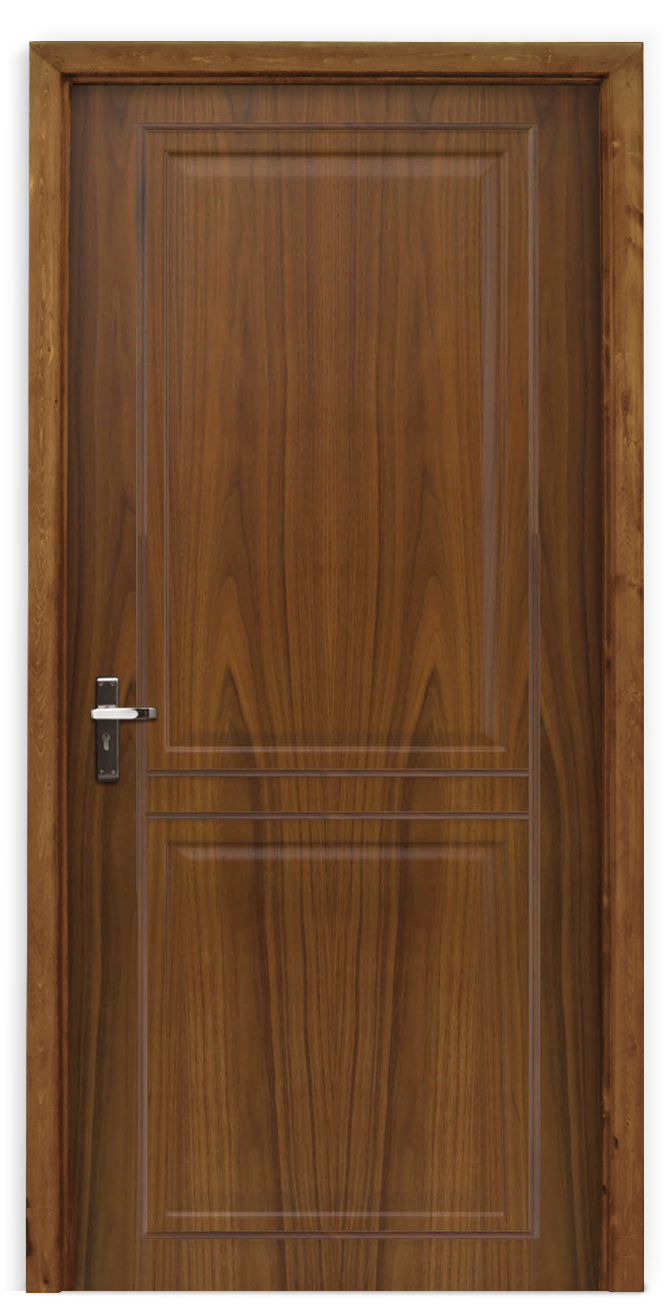 Designs of doors for homes