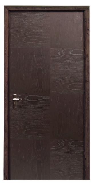 Designs of doors for homes