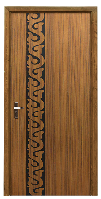 Designs of doors for homes